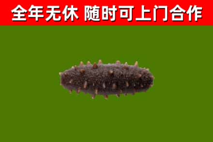 张家口烟酒回收干海参.jpg